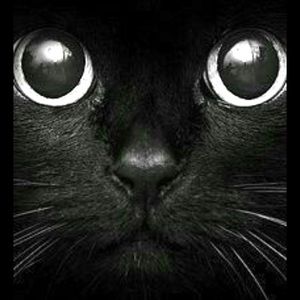 ♟Lady in Black 🌌Mystery Box 🖤